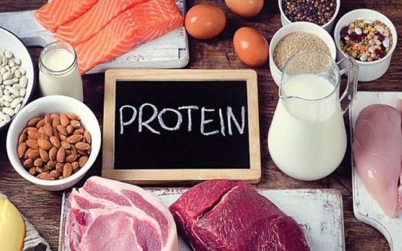 Thực phẩm chứa nhiều protein