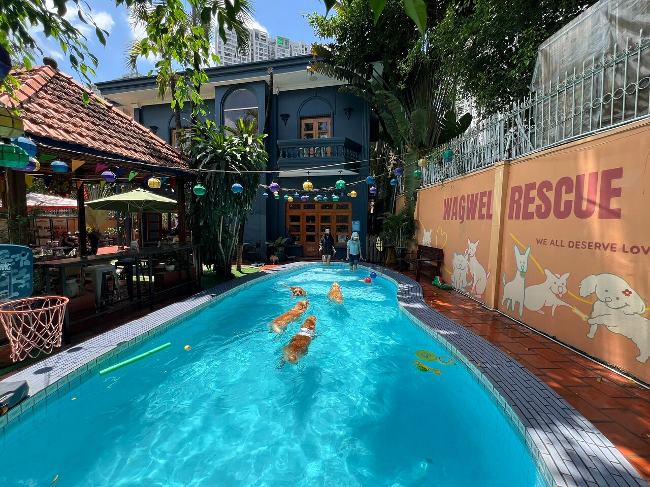 WagWel Rescue - Saigon
