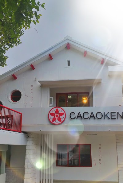 Cacaoken
